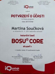 IQ BOSU
